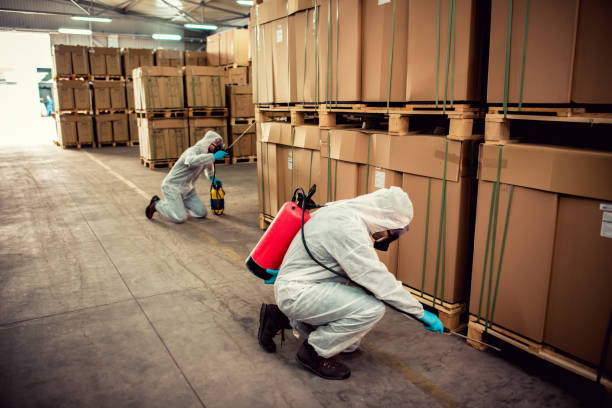 Best Termite Control Services  in Jacksonville, TX
