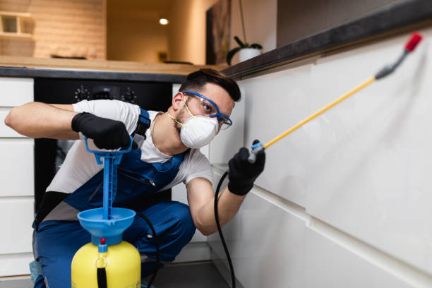 Best Pest Control Cost  in Jacksonville, TX