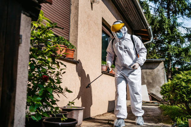 Best Insect Control  in Jacksonville, TX