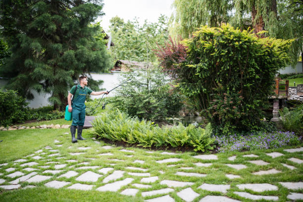 Pest Control Cost in Jacksonville, TX