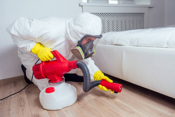 Best Flea Control Services  in Jacksonville, TX
