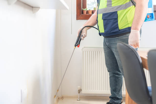 Best Wasp Removal Services  in Jacksonville, TX