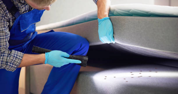 Reliable Jacksonville, TX Pest Control Solutions