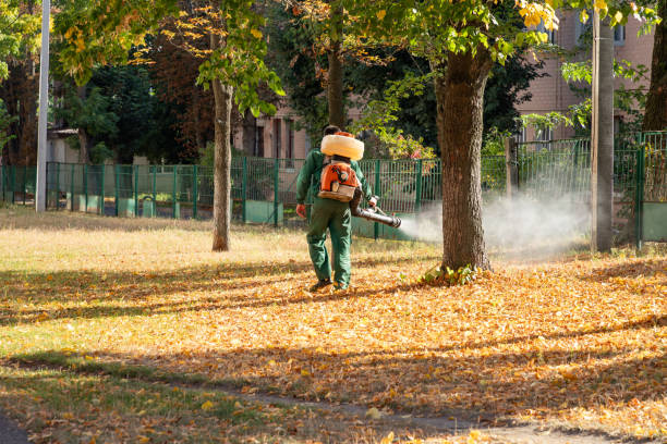 Best Commercial Pest Control Services  in Jacksonville, TX