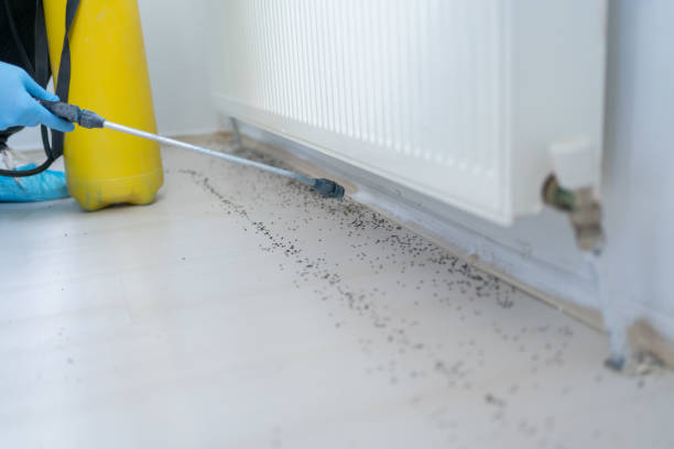 Best Pest Prevention Services  in Jacksonville, TX